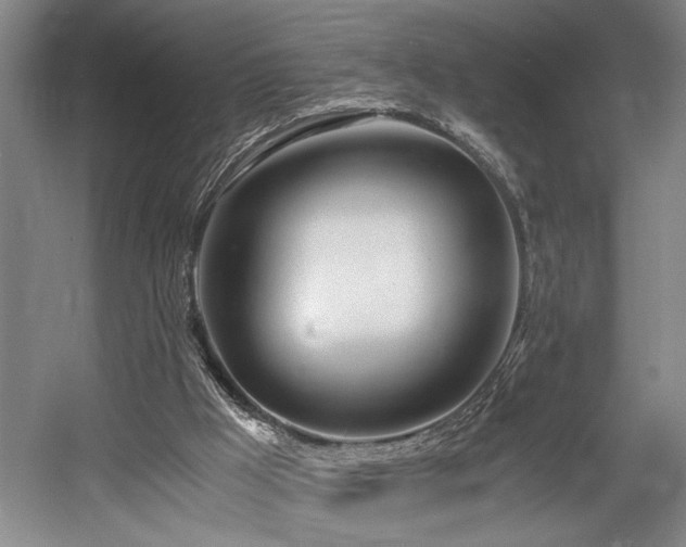 X0000056020009200508191340
