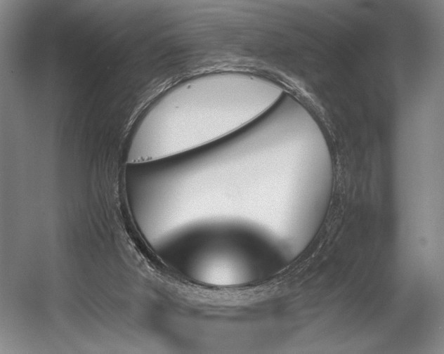 X0000056020010200508191340