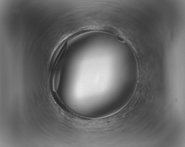 X0000056020011200508191340