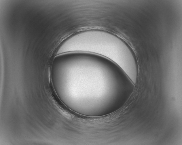 X0000056020013200508191340