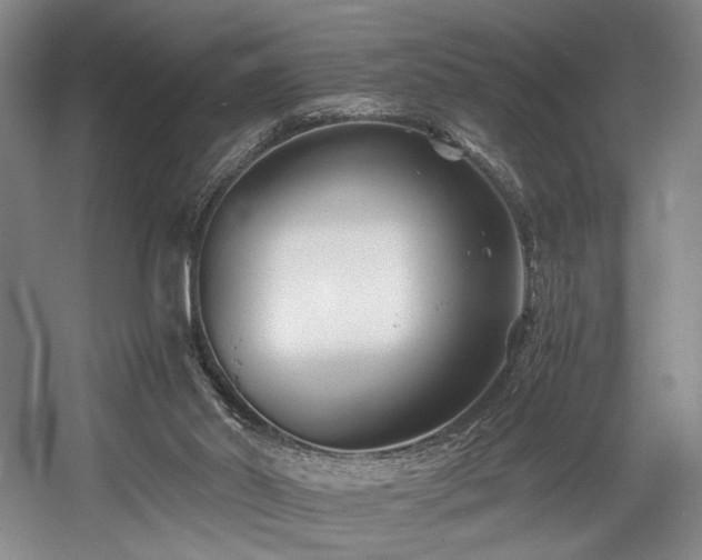 X0000056020014200508191340