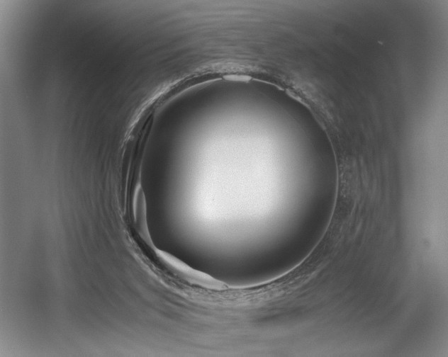 X0000056020015200508191339