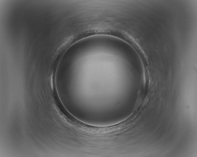 X0000056020019200508191339