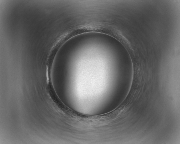 X0000056020020200508191339