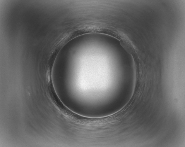 X0000056020021200508191339