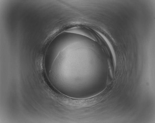 X0000056020023200508191339
