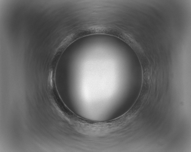 X0000056020024200508191339