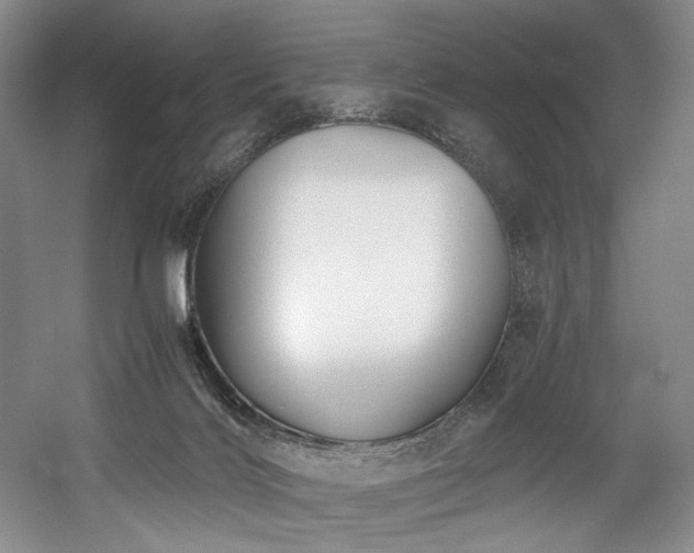 X0000056020028200508191339