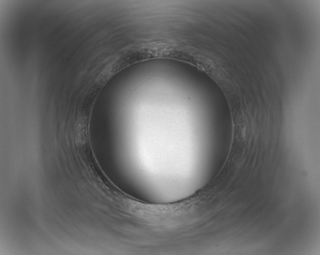 X0000056020034200508191339