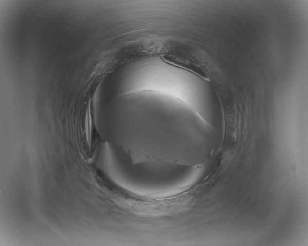 X0000056020035200508191339