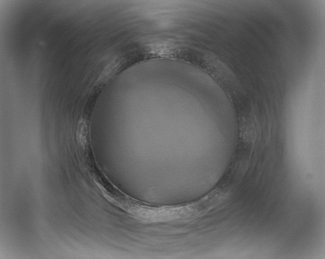 X0000056020036200508191339