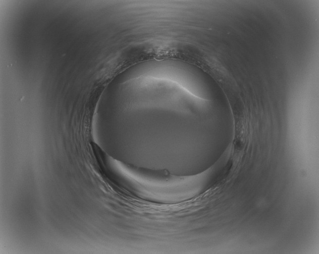 X0000056020039200508191339