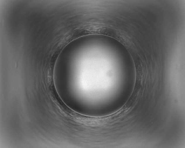 X0000056020040200508191339