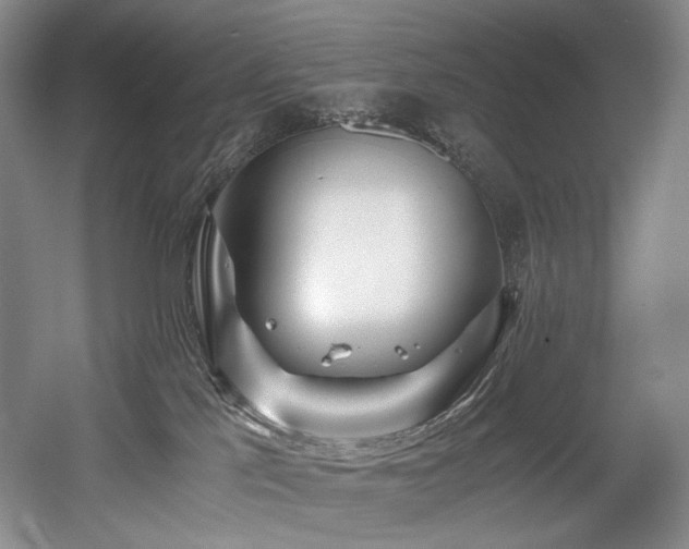 X0000056020041200508191339