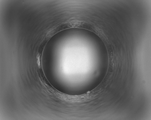 X0000056020042200508191339