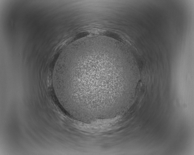 X0000056020043200508191339