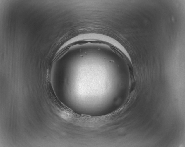 X0000056020045200508191339