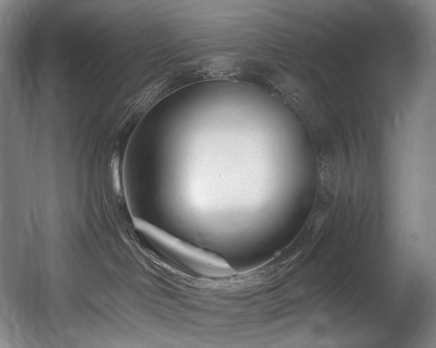 X0000056020046200508191339