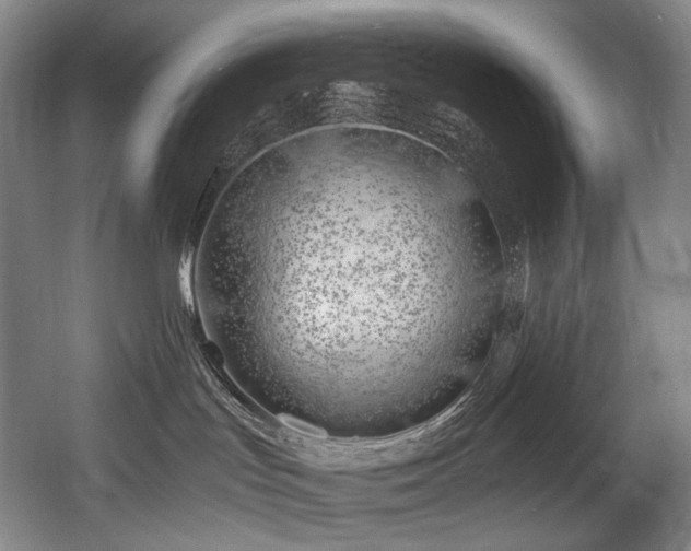 X0000056020047200508191339