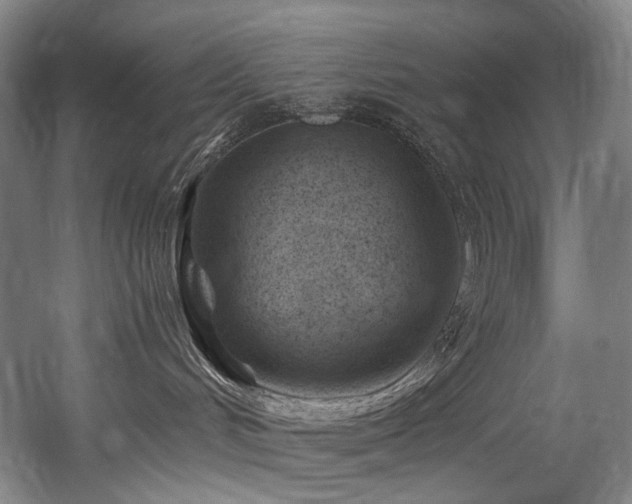 X0000056020048200508191339