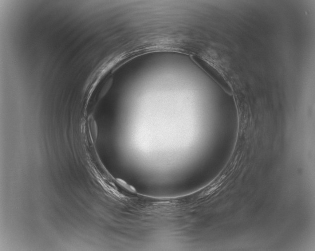 X0000056020050200508191338