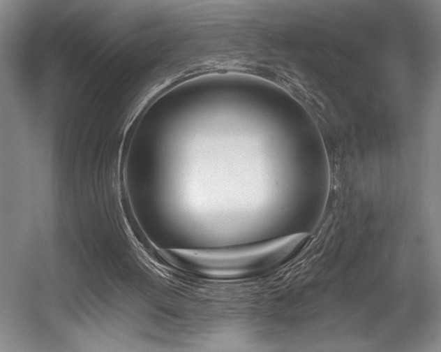 X0000056020052200508191338