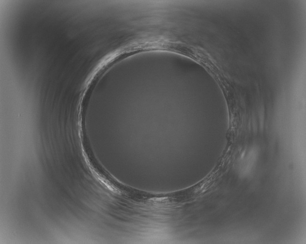 X0000056020054200508191338