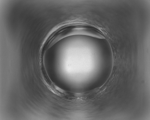 X0000056020056200508191338
