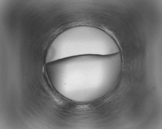 X0000056020061200508191338