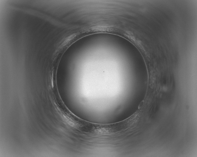 X0000056020062200508191338