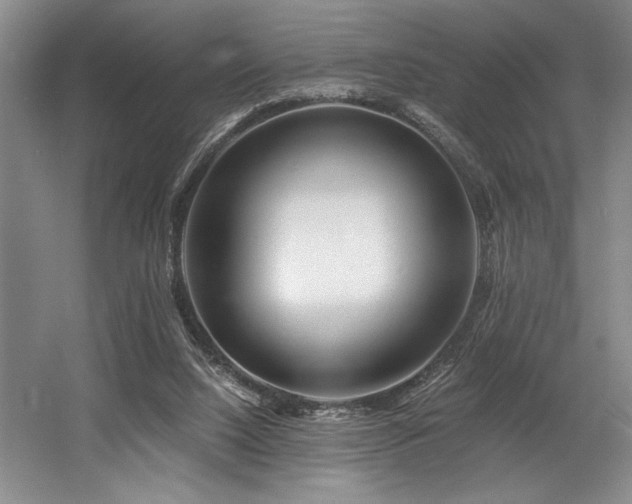 X0000056020064200508191338