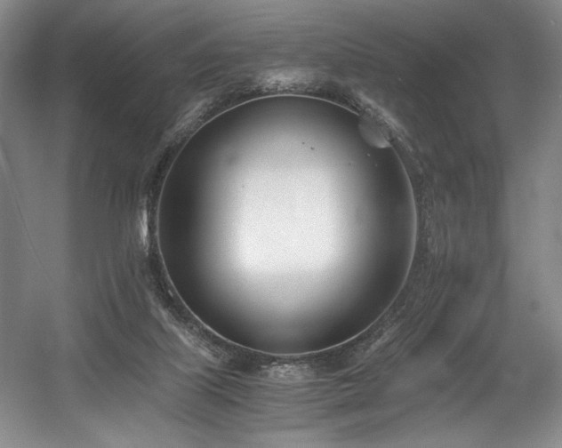 X0000056020067200508191338