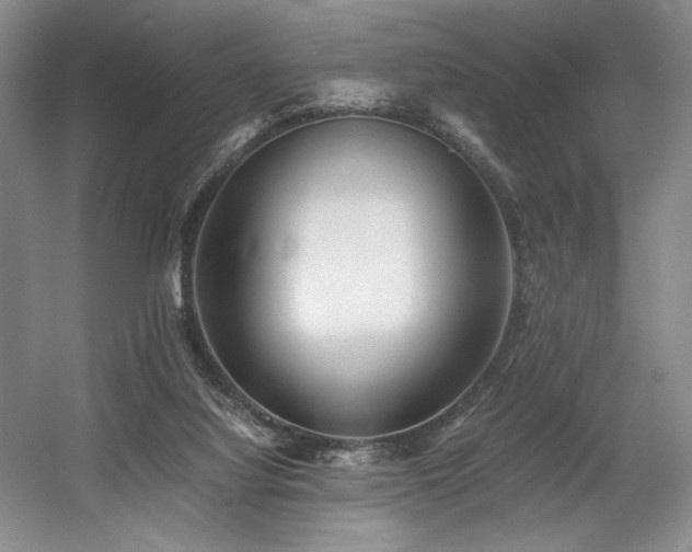 X0000056020068200508191338