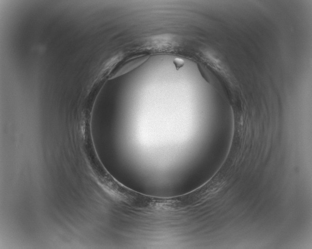 X0000056020072200508191338