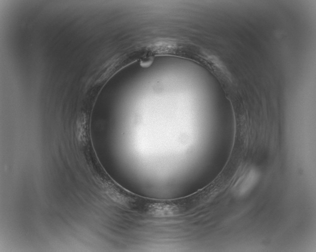 X0000056020073200508191339
