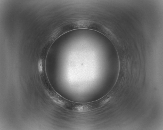 X0000056020075200508191339