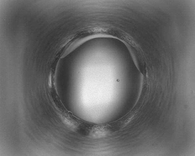 X0000056020076200508191339