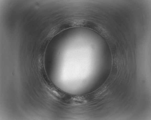 X0000056020079200508191339
