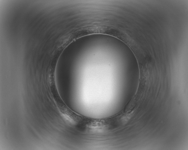X0000056020080200508191339