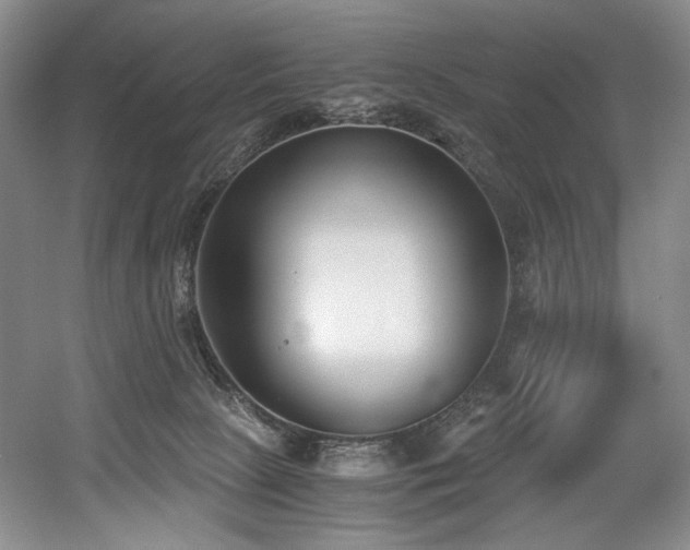 X0000056020081200508191339