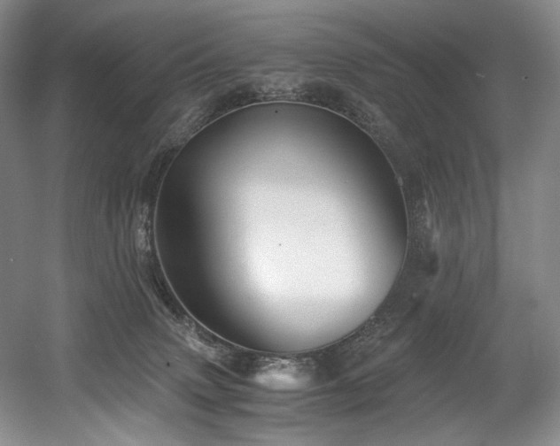 X0000056020083200508191339