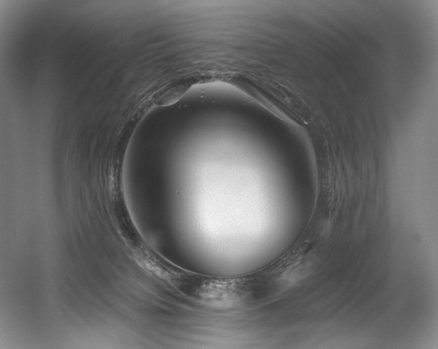 X0000056020084200508191339