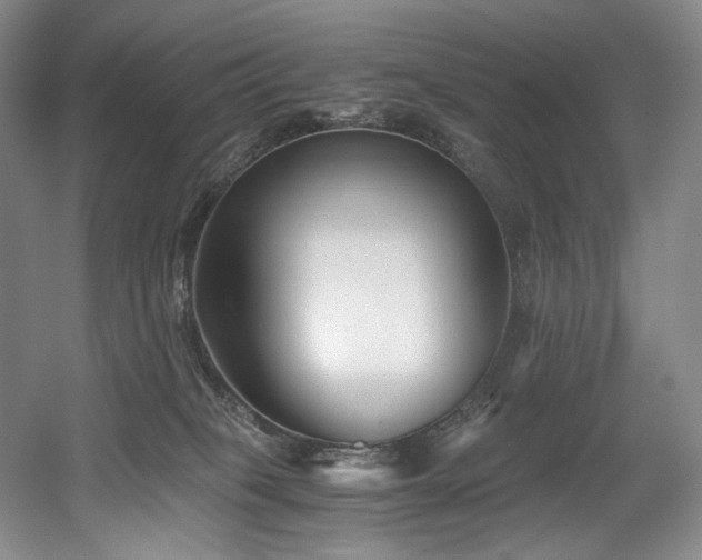 X0000056020085200508191339