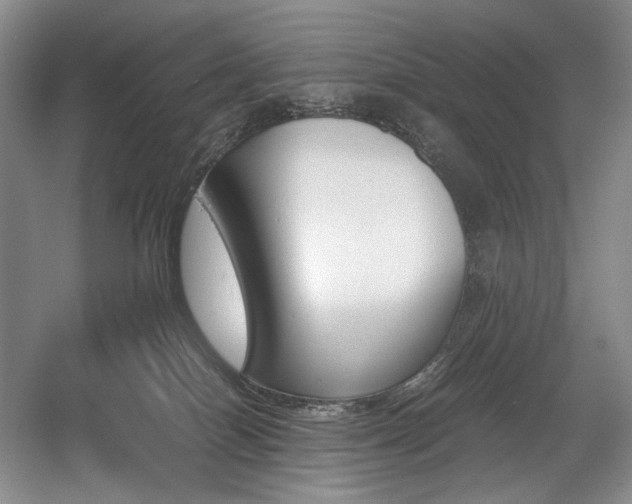 X0000056020086200508191339