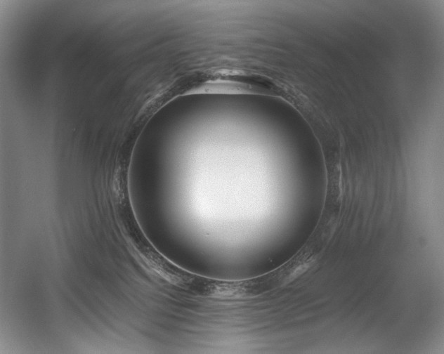 X0000056020088200508191339