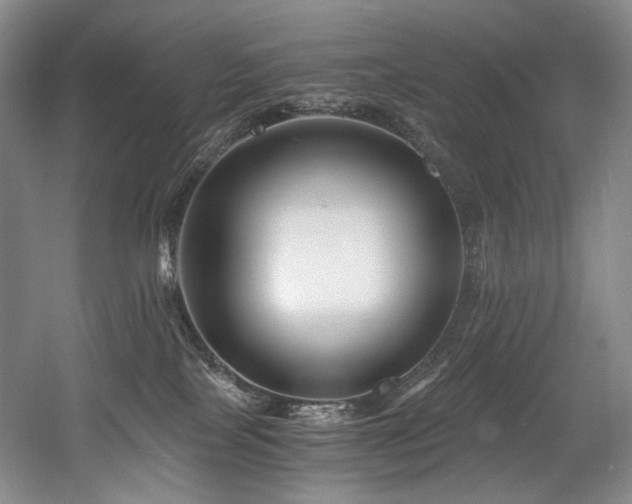 X0000056020089200508191339