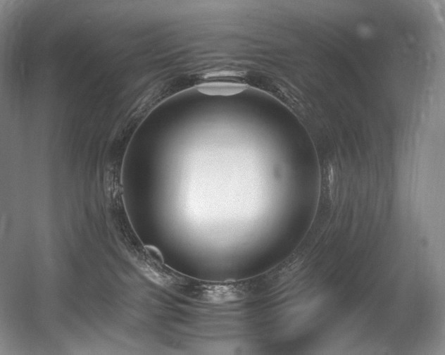 X0000056020091200508191339