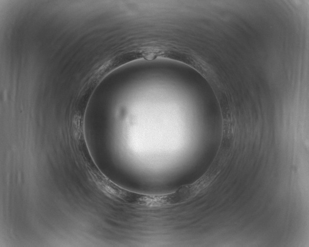 X0000056020093200508191339