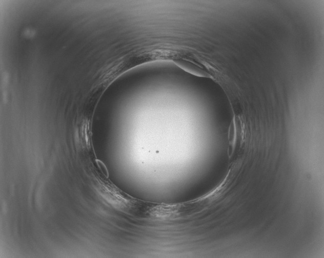 X0000056020094200508191339