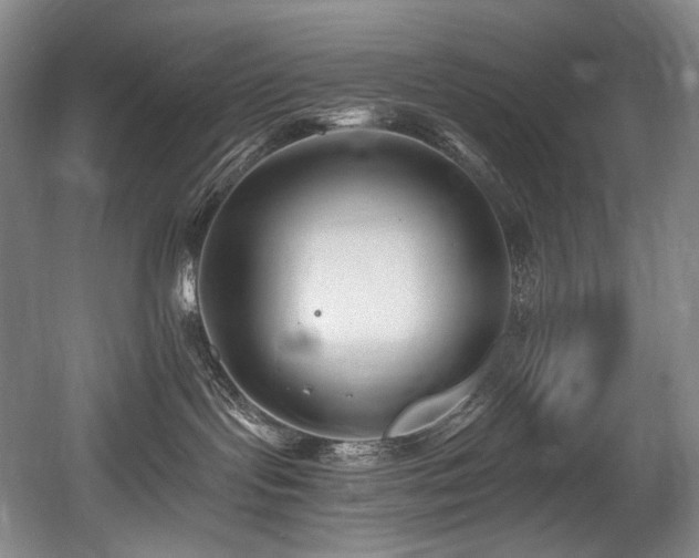 X0000056020095200508191339